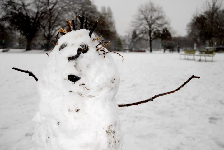 Snow Day In Vancouver
