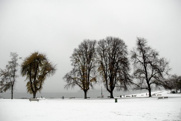 Snow Day In Vancouver