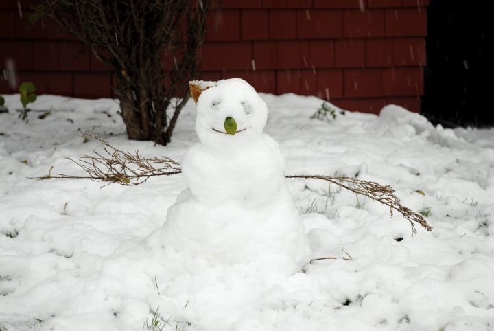 Snow Day In Vancouver