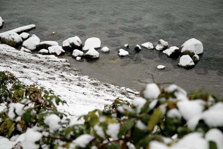 Snow Day In Vancouver