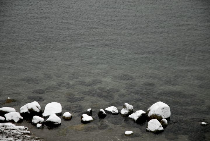 Snow Day In Vancouver