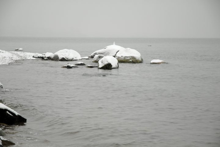 Snow Day In Vancouver