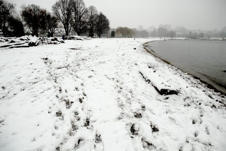 Snow Day In Vancouver