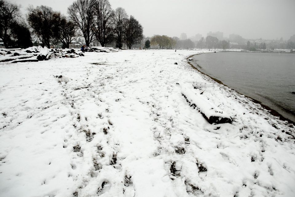 Snow Day In Vancouver