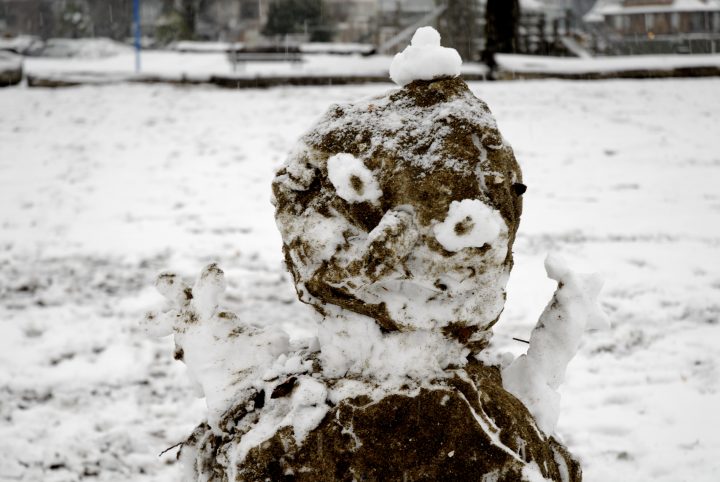 Snow Day In Vancouver