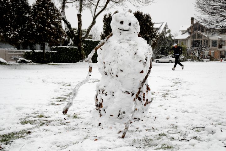 Snow Day In Vancouver