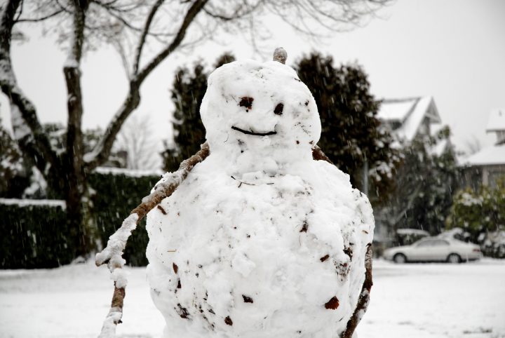 Snow Day In Vancouver