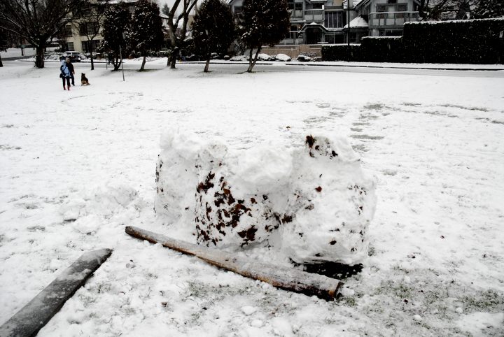Snow Day In Vancouver