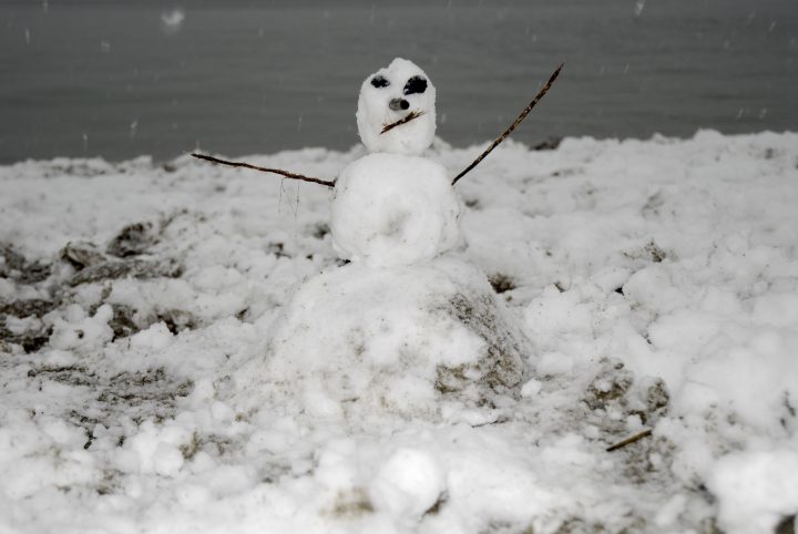 Snow Day In Vancouver