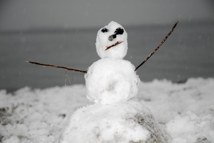 Snow Day In Vancouver