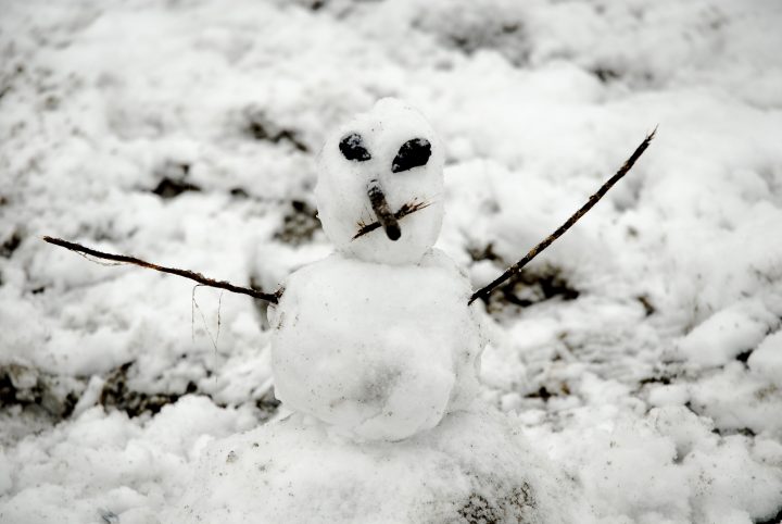 Snow Day In Vancouver