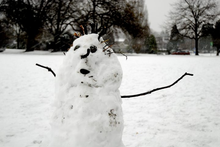 Snow Day In Vancouver