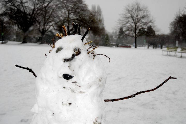 Snow Day In Vancouver