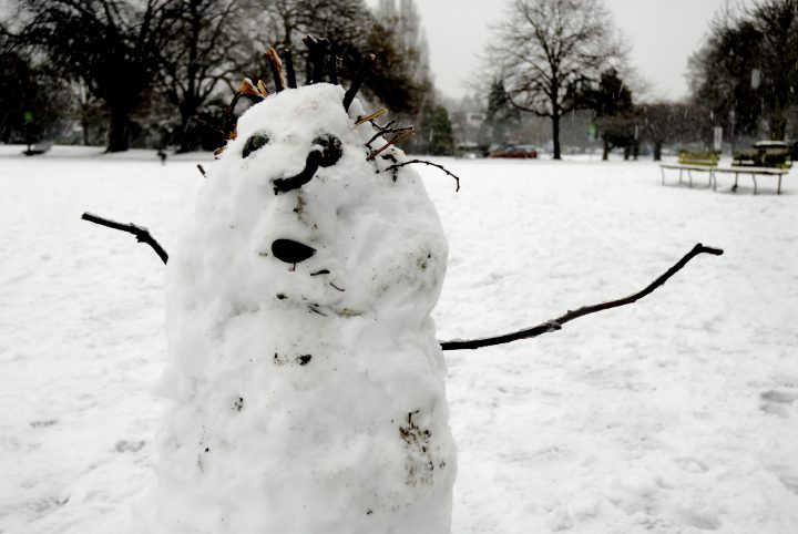 Snow Day In Vancouver
