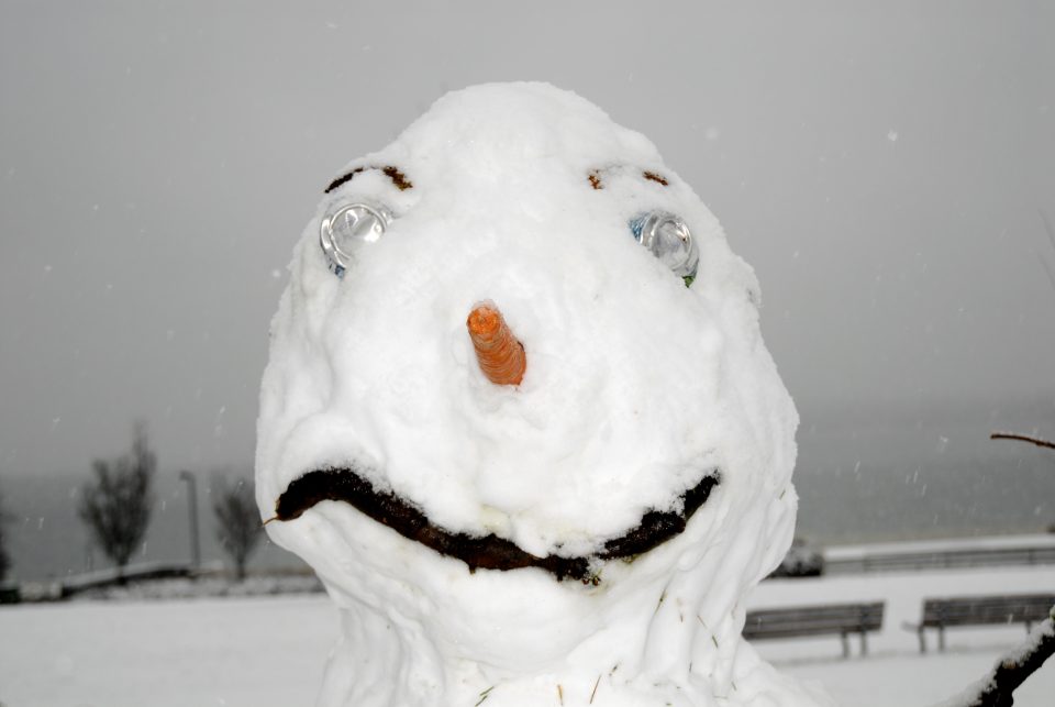 Snow Day In Vancouver