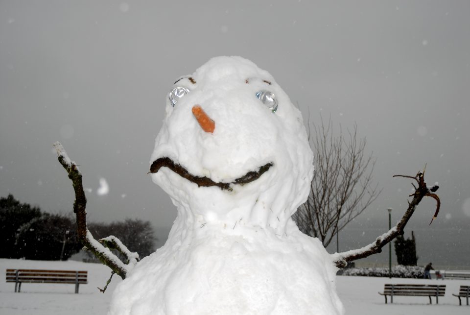 Snow Day In Vancouver