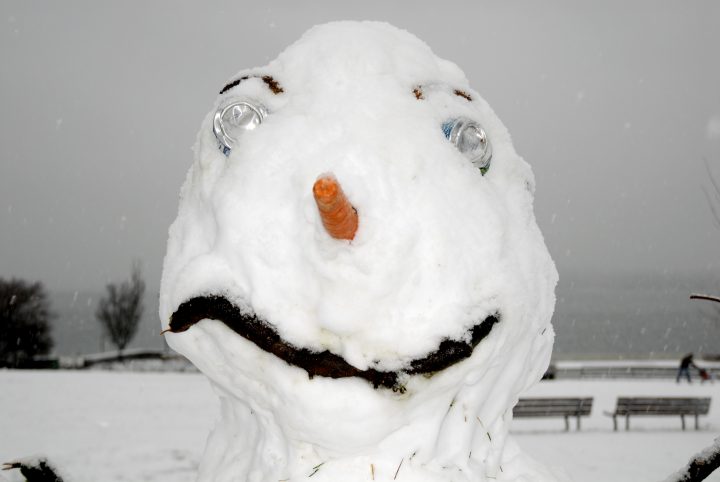 Snow Day In Vancouver