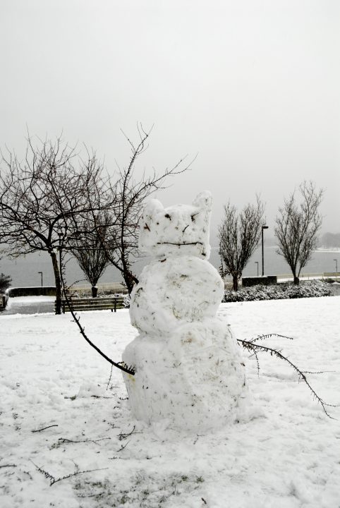 Snow Day In Vancouver