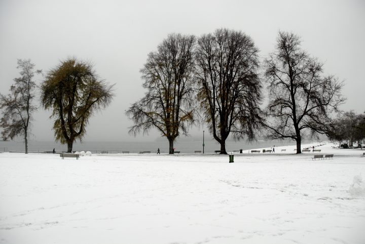Snow Day In Vancouver