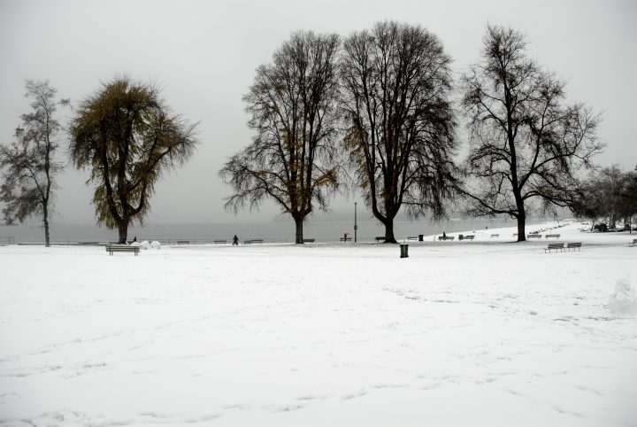 Snow Day In Vancouver
