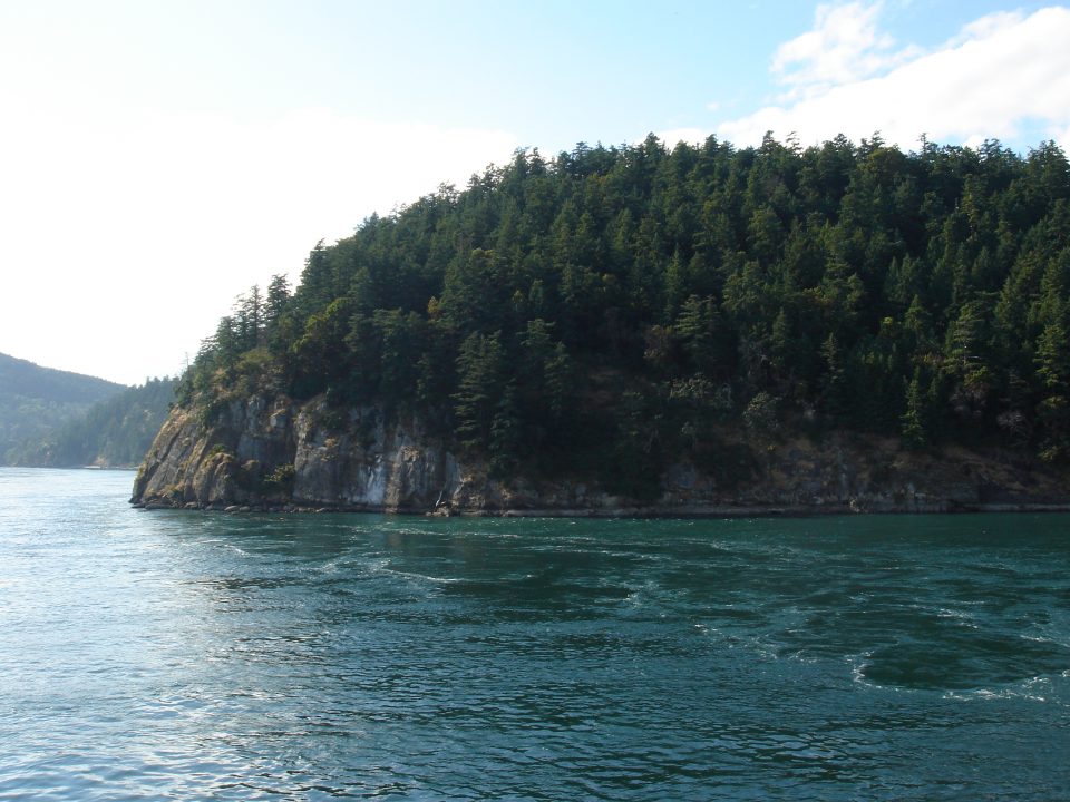view from the ferry to victoria