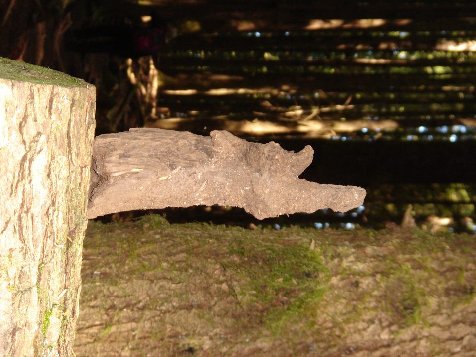 piece of wood that looks like a squirrel