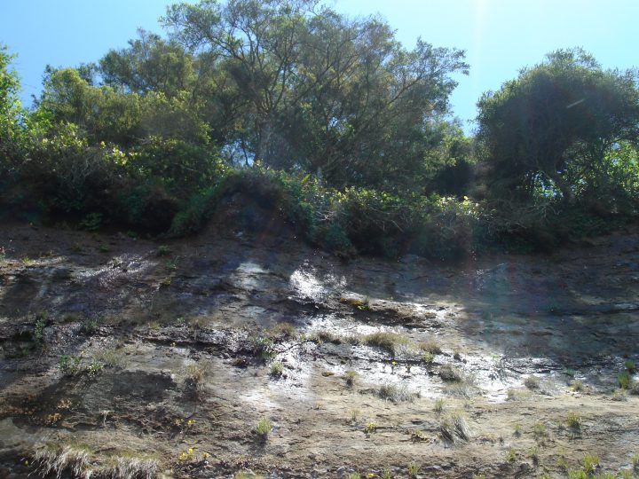 cliffs at mystic