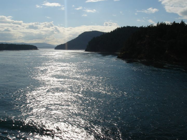 views from the ferry
