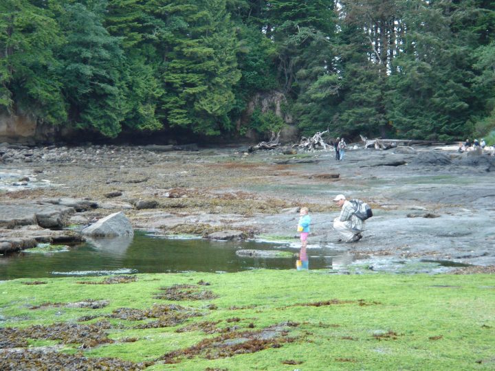 little girl plays in the water
