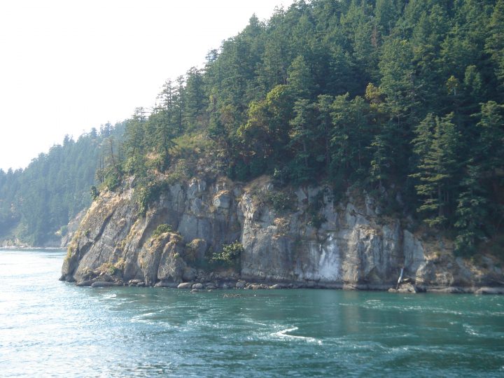 view from the ferry
