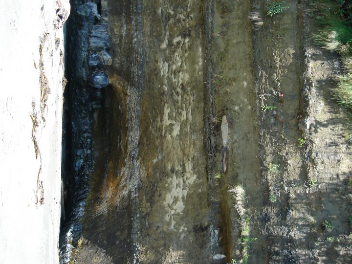 Cliff Walls