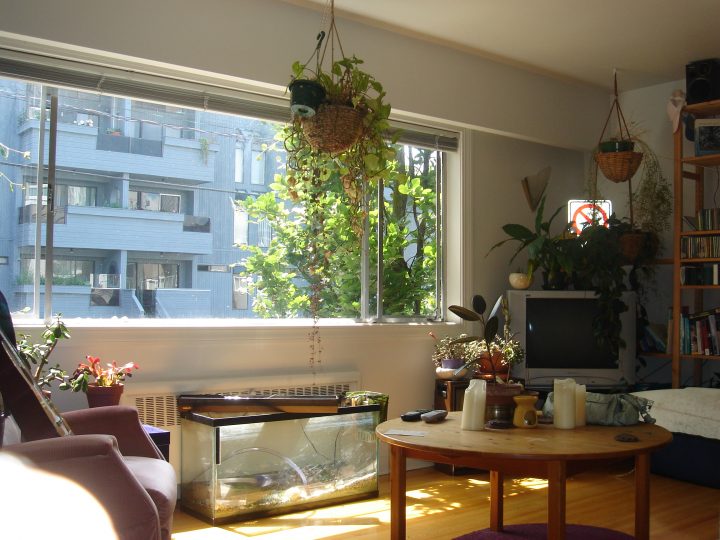 DSC01474