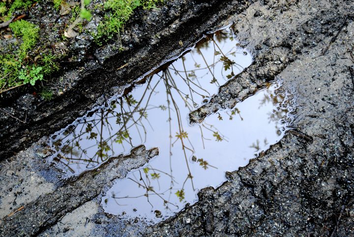 Tire Tracks Reflection