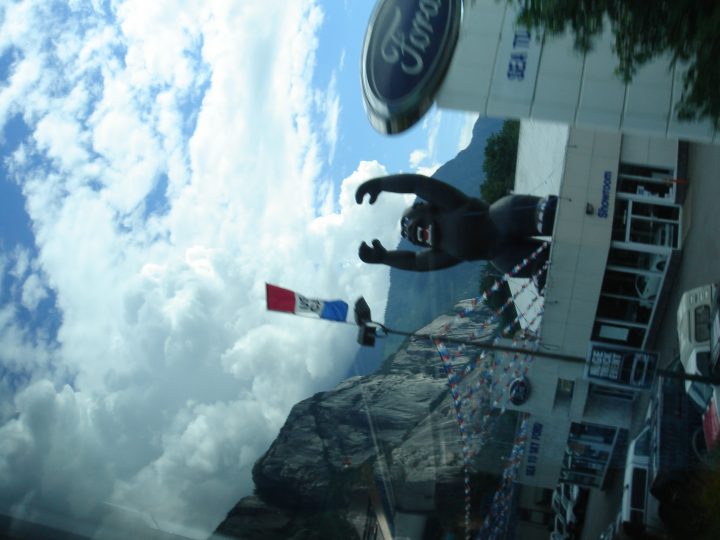 king kong squamish
