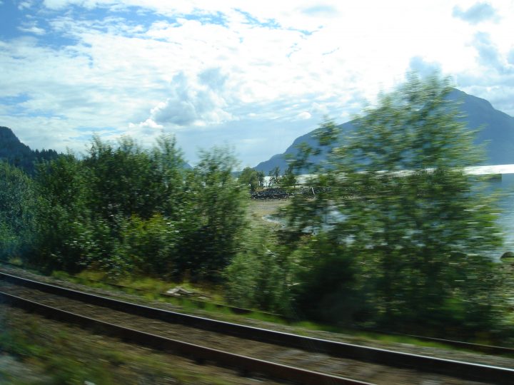 DSC01949