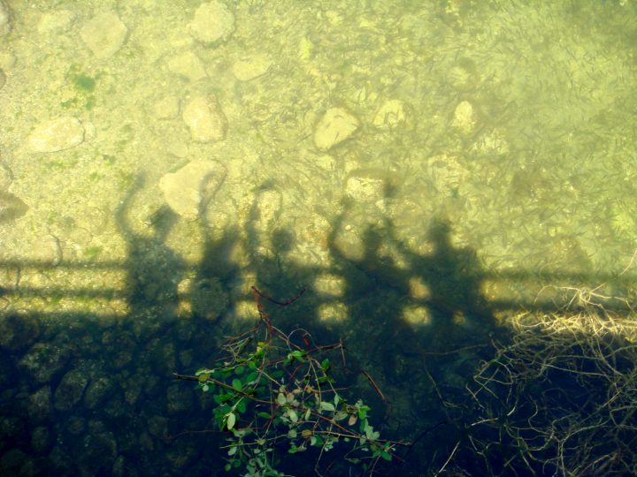 Untitled Photo 5055