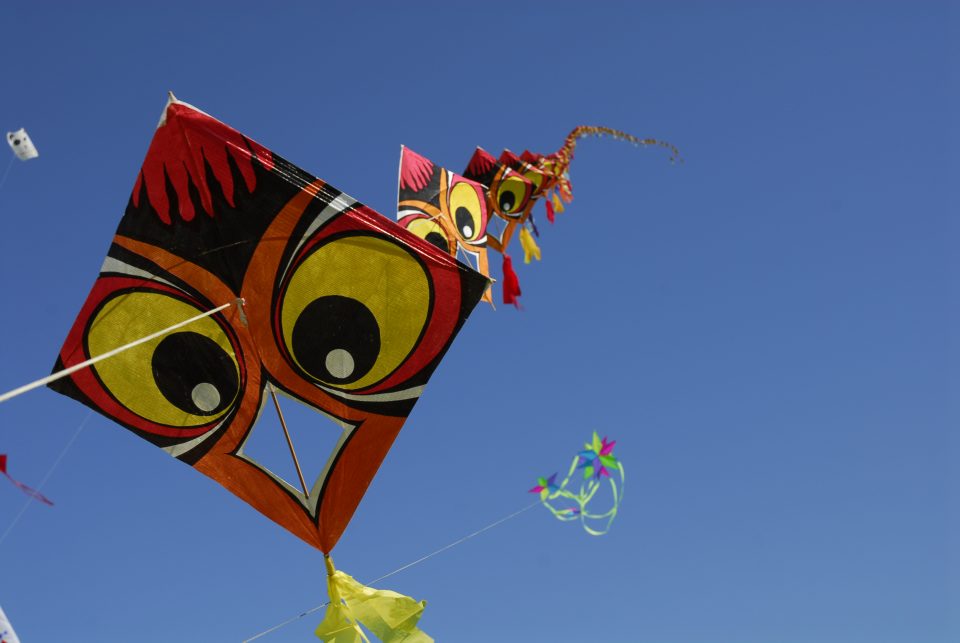 Long kite