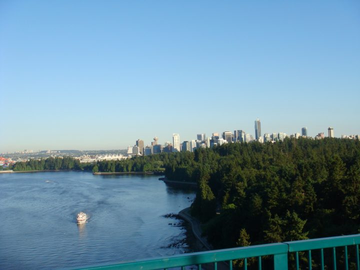 DSC06782