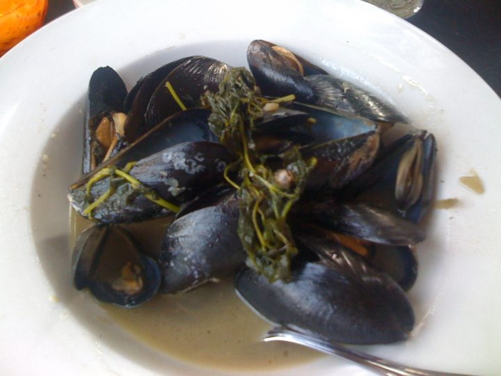 mussels