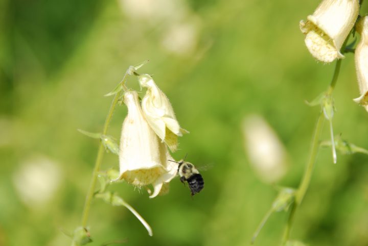 _DJR7626