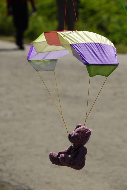 Paraglide Bear