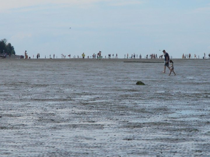 DSC02040