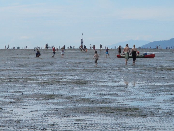 DSC02041