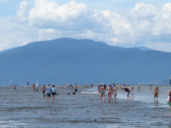 DSC02042