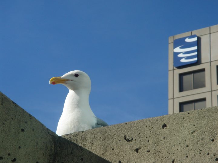 DSC02125