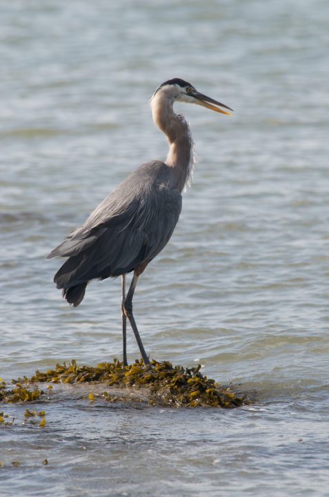 DSC_0324