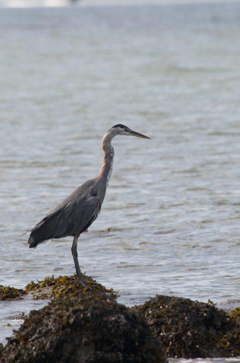 DSC_0249