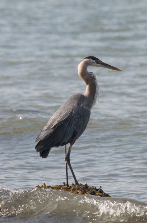 DSC_0317