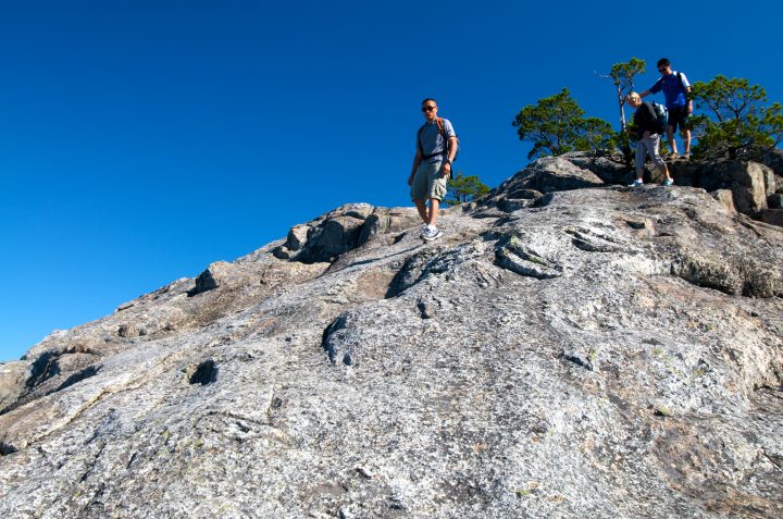 Descent