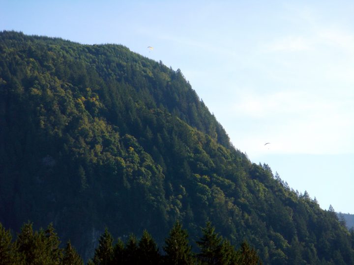 DSC07240